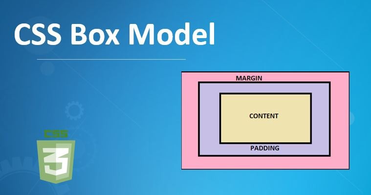 Understanding the box model in web design