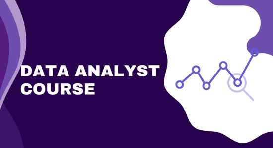 Data Analyst