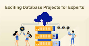 How to Work with Databases in Web Projects