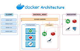 Docker Hub, Commands, and Security Guide for Beginners