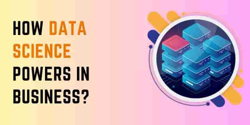 How Data Science Powers Businesses in Delhi NCR