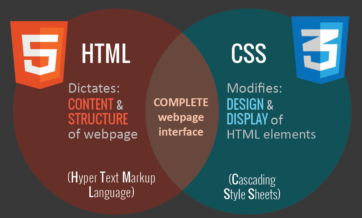 Build Your First Website Using HTML and CSS