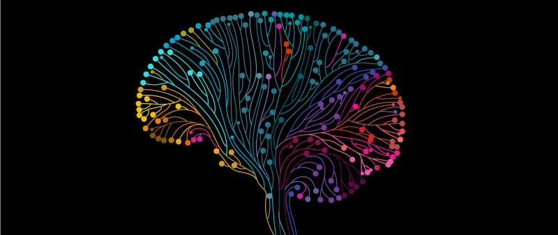 Introduction to Neural Networks for Beginners