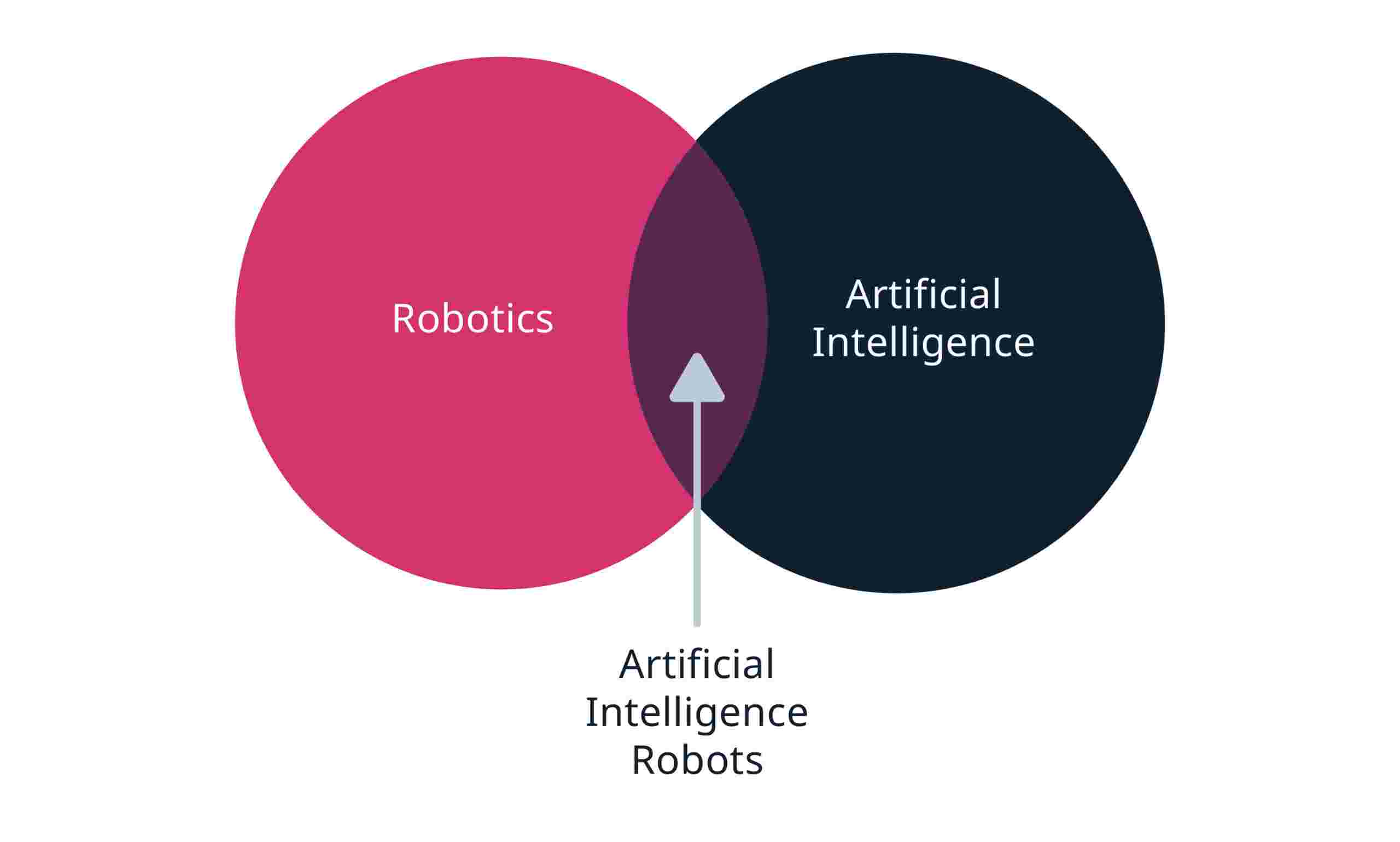 AI Robotics