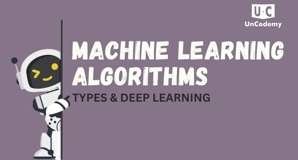 Exploring Machine Learning Algorithms: Types & Deep Learning