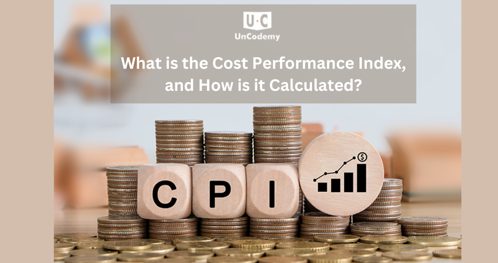 What is the Cost Performance Index