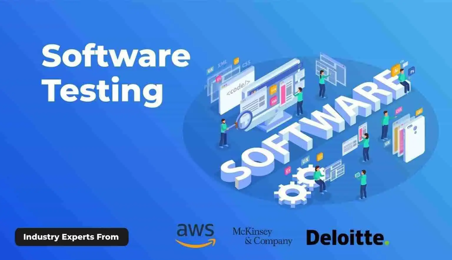 Software Testing img