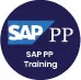 SAP Production Planning Training Course Logo