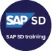 SAP Sales and Distribution Training Course Logo