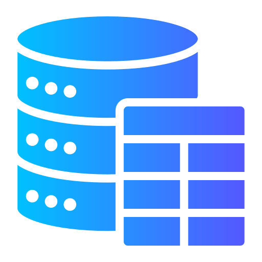 DBMS